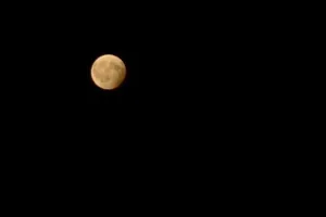 21:31:07