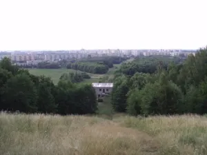 Sešup štětináč