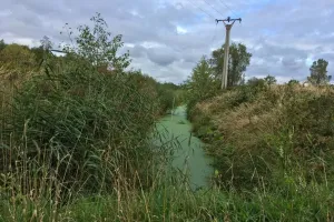 Brčálové dobrodružství