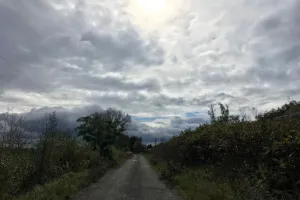 Slunce nad hlavou
