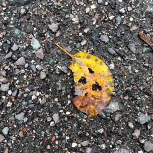 Uaaaa!