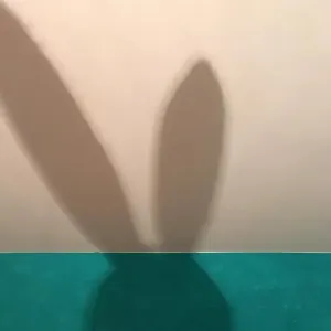 Zajdův sen
