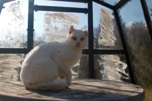 Slunění
