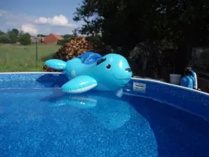 Rybikjů