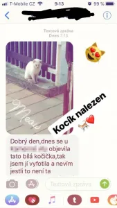 Šťastný den