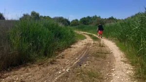 Cesta k dalšímu jezeru