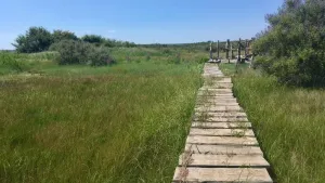 Plošina vlaštovek