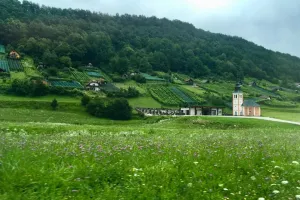 Kytičková krajina