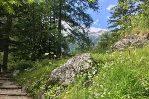 Botanični vrt - zahrádka