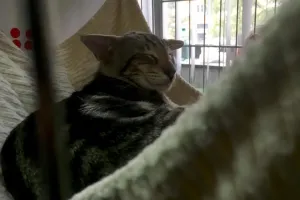 Relaxopán