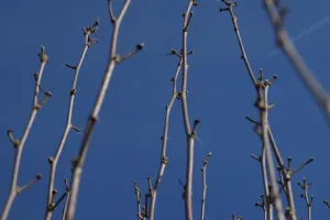Duben III