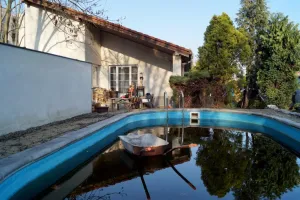 Zátiší s kolečkem