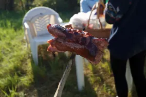 Buřtové dny