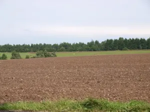 Bylo to zkrátka zvědavé