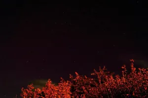 S24 00:00:45