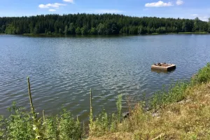 Plocha pro kachny