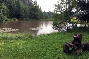 Mokro u rybníka