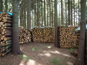 Dřevo k semletí