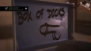 Box of dicks