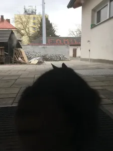 Kočík za dveřmi