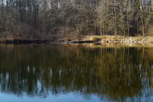 Rybníková idylka
