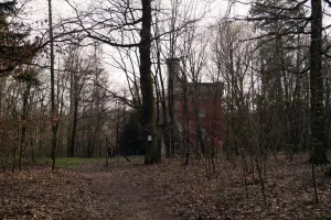 Hrad ve větvích