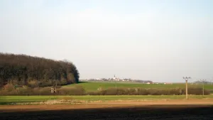 Vzdálenost