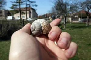 Ulita budoucnosti