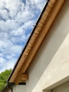Pípáčci
