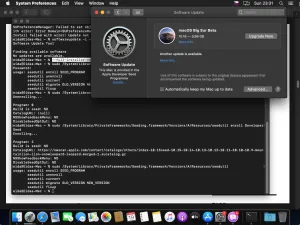 Reenrolling do Developer Seed programu ručně