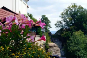 Květiny