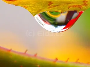 Další kapka