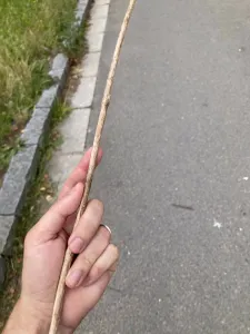 Mít klacík je vítězstvím