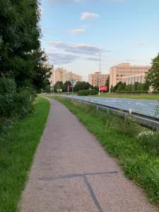 Kroužení trochu jinak