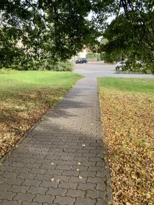 Cestička s listy