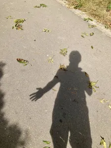 Siluety hledání