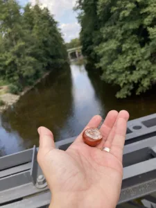 Kaštany východisek