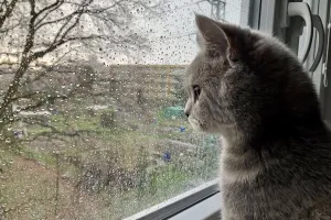 Kočíčko a první bouřka
