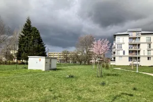 Kveteníčko v Andromedě