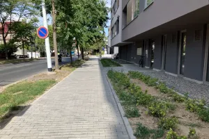 Příchod