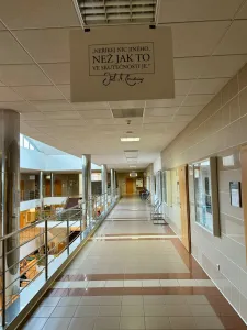 Motivace na každém kroku