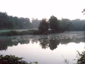 Mlha nad ránem