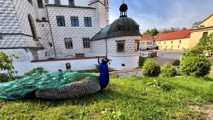Zámectví
