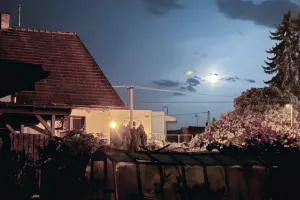 Měsíček
