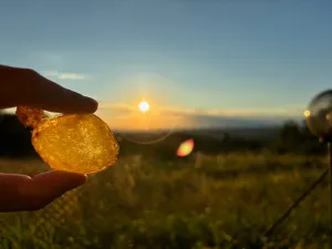 Brambůrkový sunset
