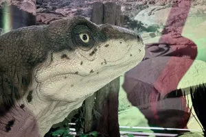 Roztomilý malý dino