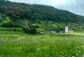 Kytičková krajina