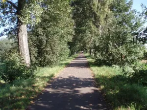 Cesta k Labi