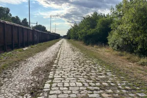 Cesta je zalitá sluncem