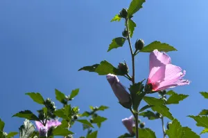 Tohle je magie
